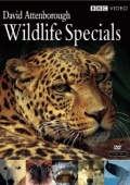 Wildlife Specials - трейлер и описание.