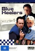 Blue Heelers  (сериал 1994-2006) - трейлер и описание.