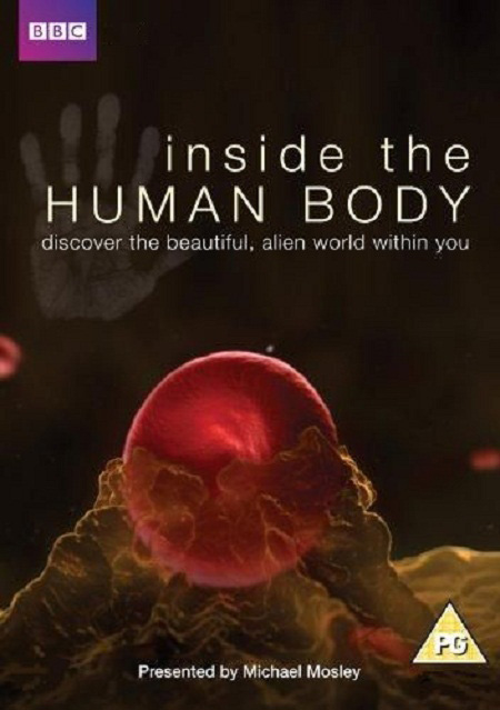 Внутри человеческого тела (сериал) - трейлер и описание.