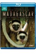 Мадагаскар  (мини-сериал) - трейлер и описание.