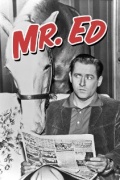 Мистер Эд  (сериал 1958-1966) - трейлер и описание.