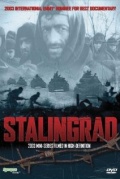 Сталинград (мини-сериал) - трейлер и описание.