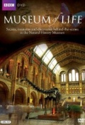 Museum of Life - трейлер и описание.