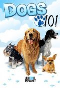 Введение в собаковедение (сериал 2008 - 2011) - трейлер и описание.