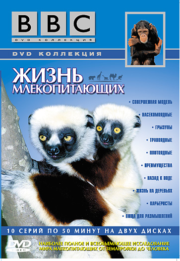 BBC: Жизнь млекопитающих (сериал 2002 - 2003) - трейлер и описание.