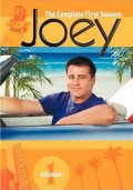 Джоуи (сериал 2004 - 2006) - трейлер и описание.