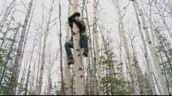 Смотреть фото Аляска: Семья из леса (сериал 2014 - ...).