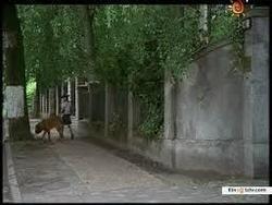 Смотреть фото Домик с собачкой (сериал 2002 - 2003).
