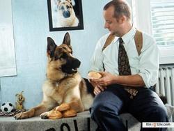 Смотреть фото Комиссар Рекс (сериал 1994 - 2004).