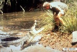Смотреть фото Охотник на крокодилов (сериал 1996 - 2004).