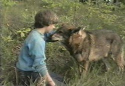 Смотреть фото Маленький бродяга (сериал 1979 - 1985).
